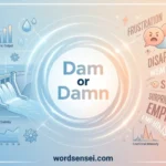 Dam or Damn