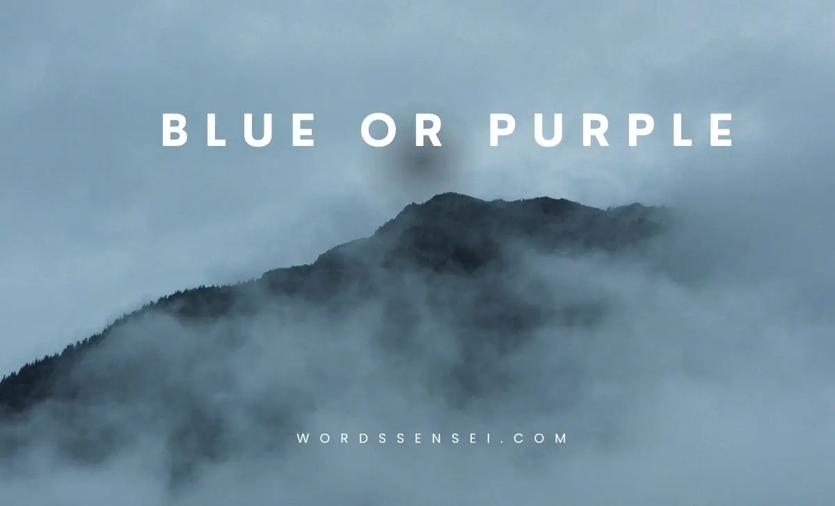 blue or purple